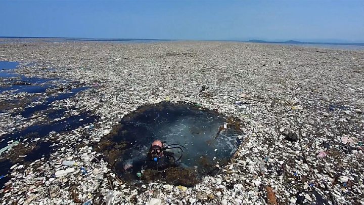 mar de basura afectaría barrera coralina