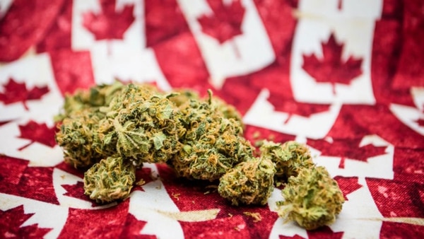 Canadá legaliza marihuana