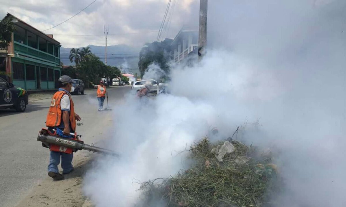 dengue in the northern zone 