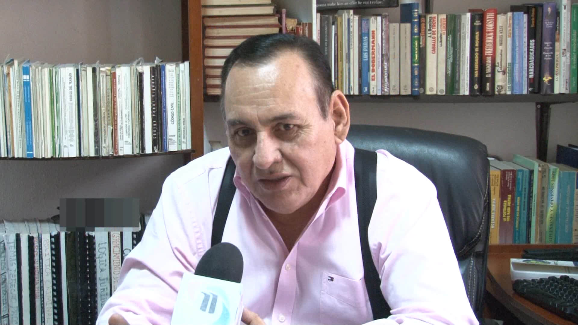 Raúl Pineda Alvarado, Analista.