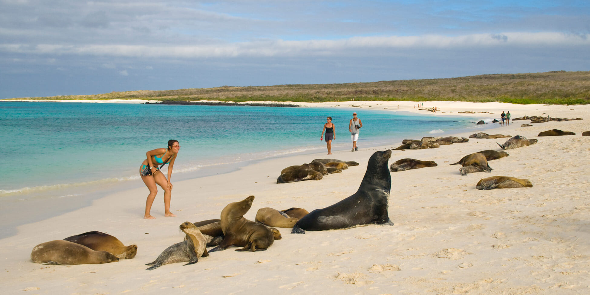Este sitio turístico se encuentra en la bahía Tortuga, al suroeste de Puerto Ayora, en la isla Santa Cruz, del archipiélago de las Galápagos.