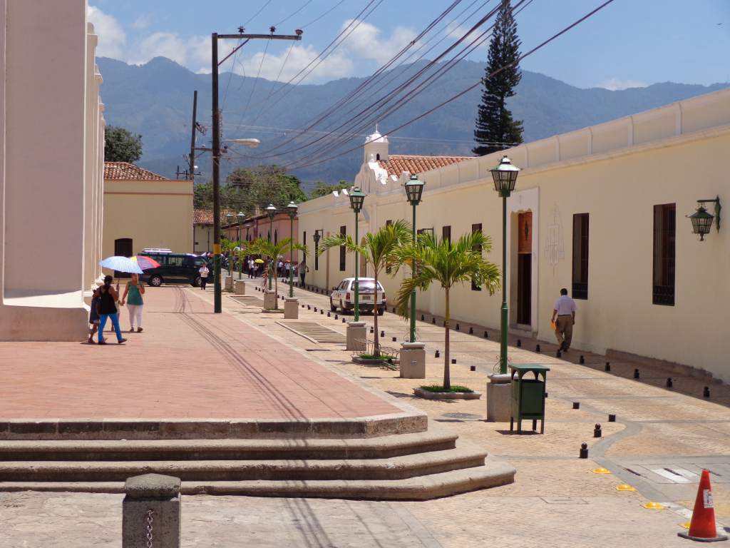 joya natural comayagua