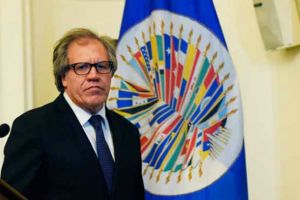 Luis Almagro trabajará con autoridades de electas Honduras