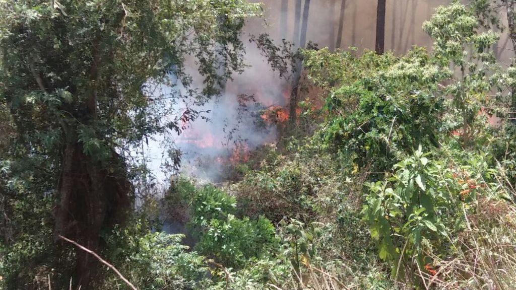 incendio en El Hatillo incendio en El Hatillo
