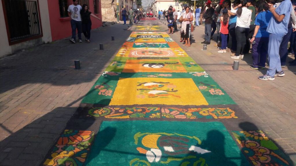alfombras de aserrín