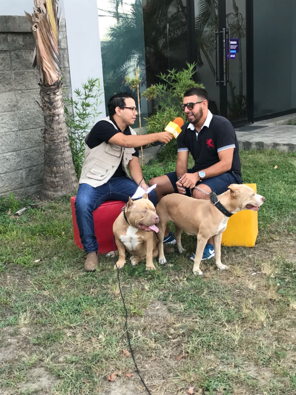 Leandro Rivera Javier Tabora San Pedro Sula Honduras Leandro Rivera Javier Tabora San Pedro Sula Honduras