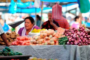 Canasta básica combustibles