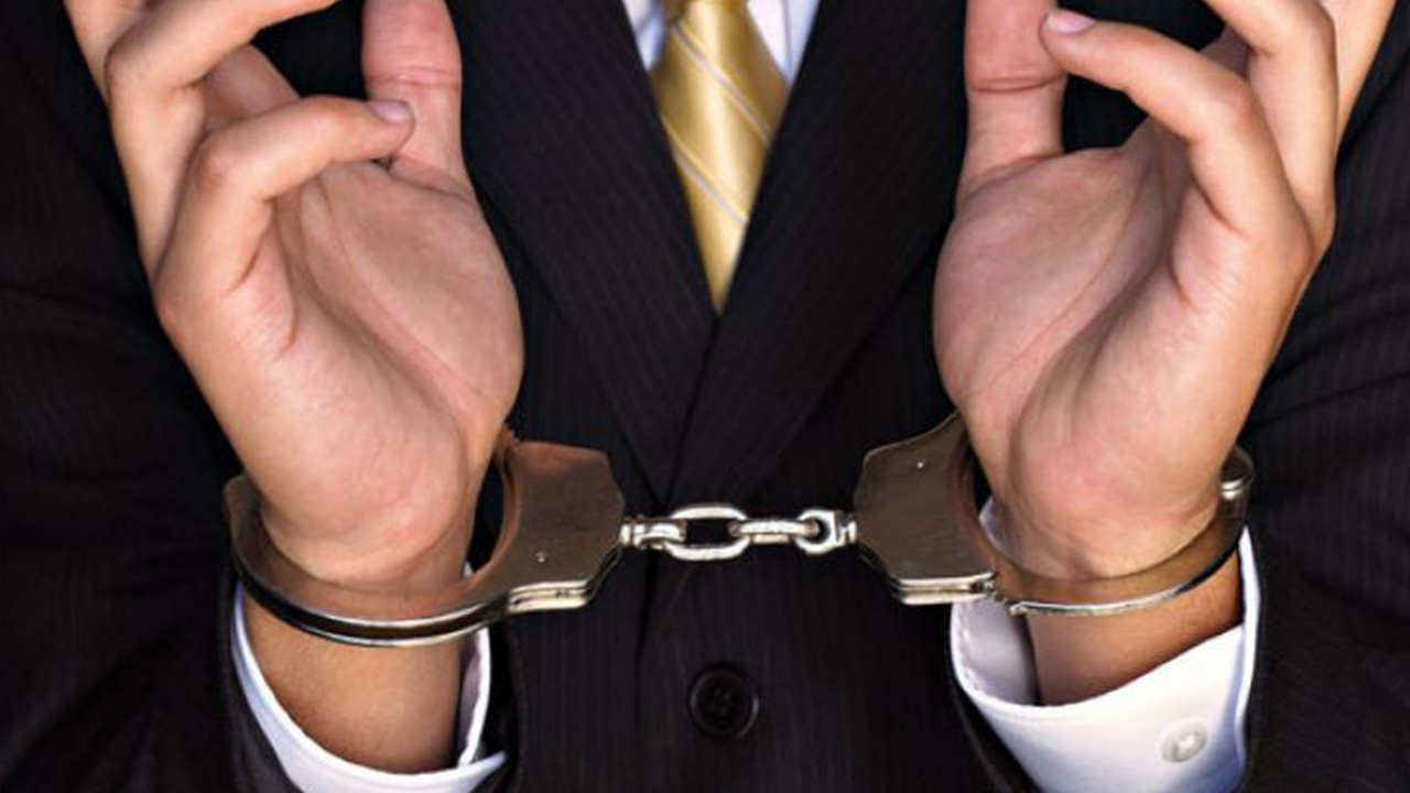 caso Pandora once datos caso Pandora once datos