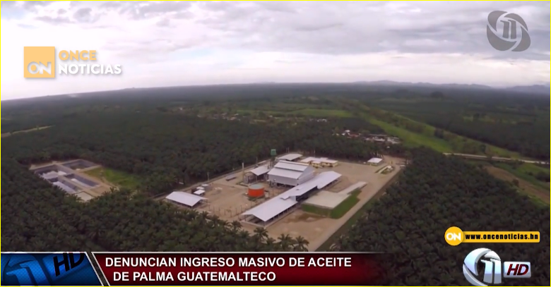importación aceite palma Guatemala importación aceite palma Guatemala