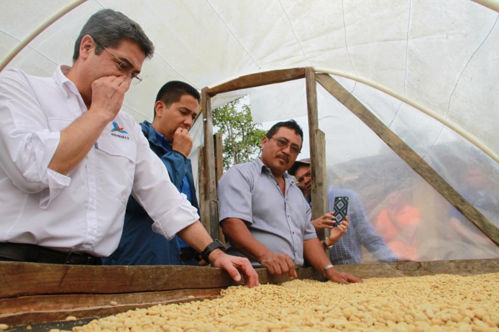 Clinton Hernández café Clinton Hernández café