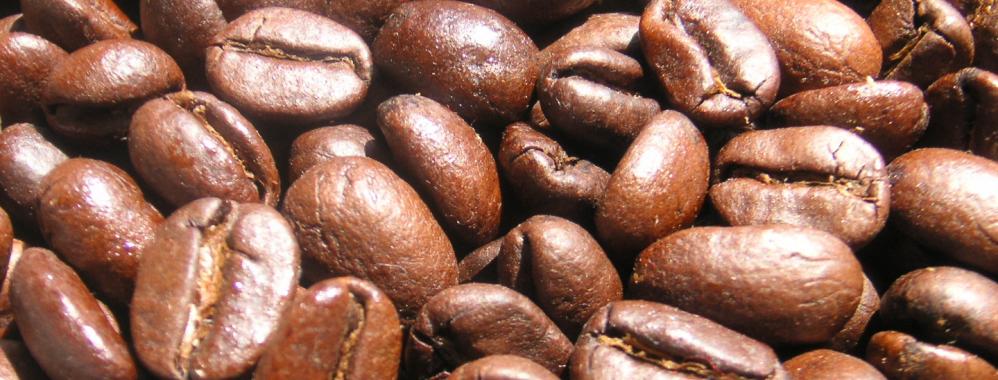 productores café nueva temporada productores café nueva temporada