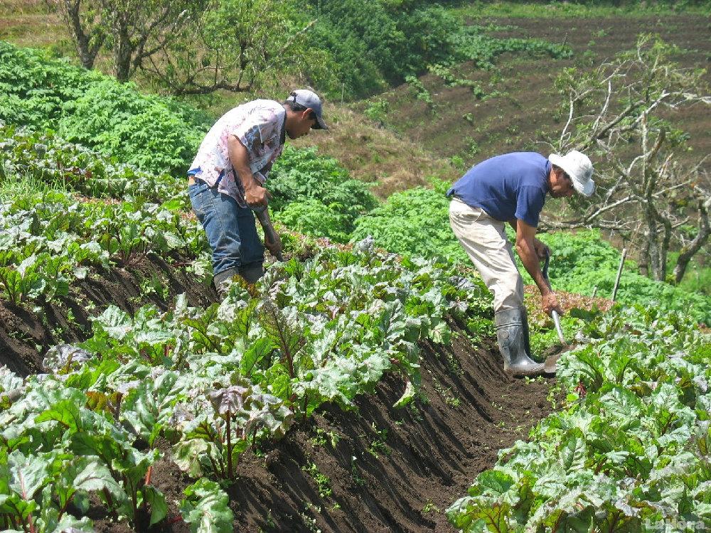 Cooperación Española seguridad alimentaria