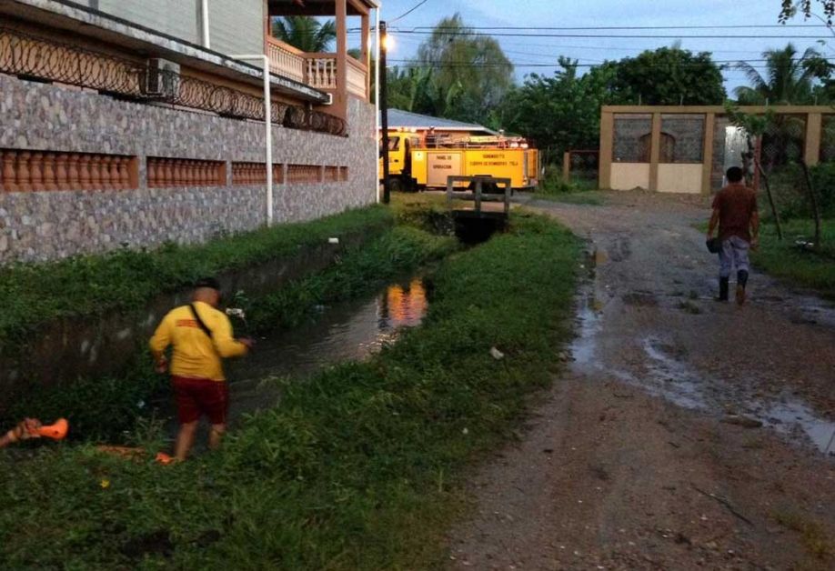 Niño Tela Busqueda Niño Tela Busqueda