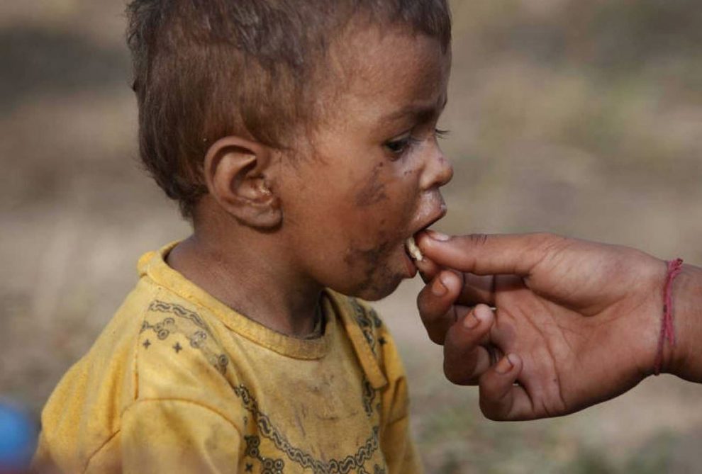 día mundial de alimentación