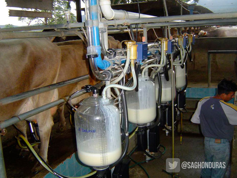 ganaderos precio leche