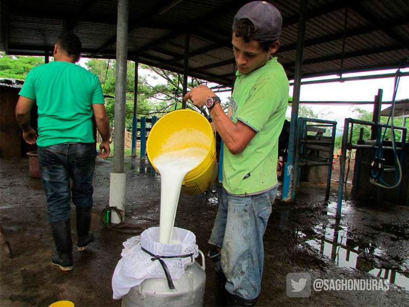ganaderos precio leche ganaderos precio leche