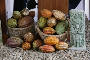 Inauguran planta de chocolate