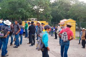 tomado parque Ruinas Copán