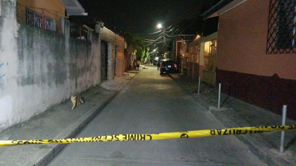 INDIGNANTE: A balazos asesinan a un leopardo en Santa Cruz de Yojoa