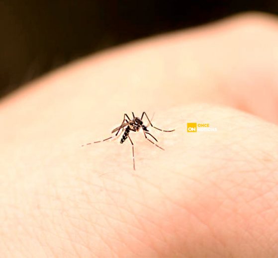 menor de edad dengue