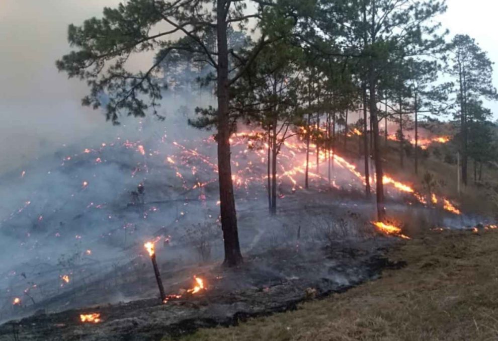incendio forestal El Hatillo