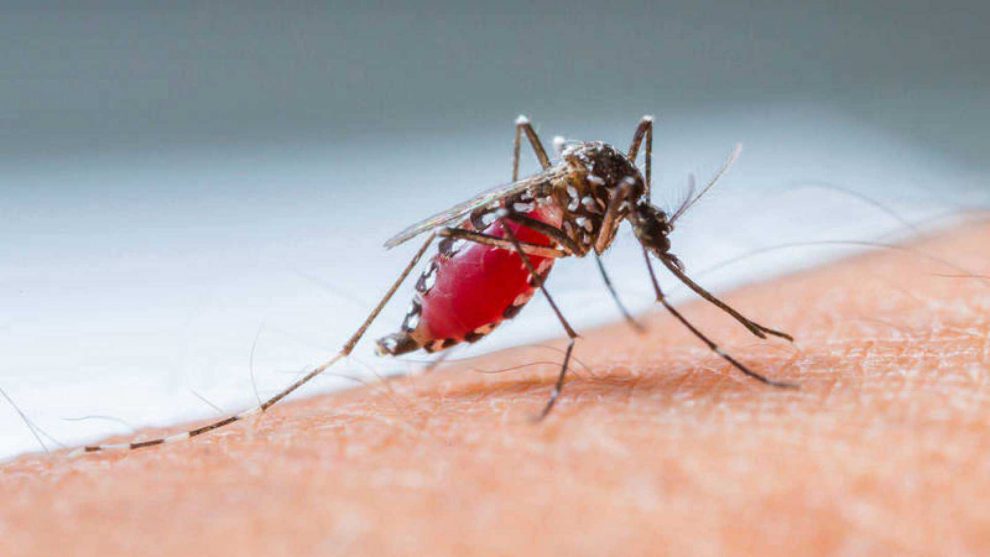 Dos menores mueren dengue