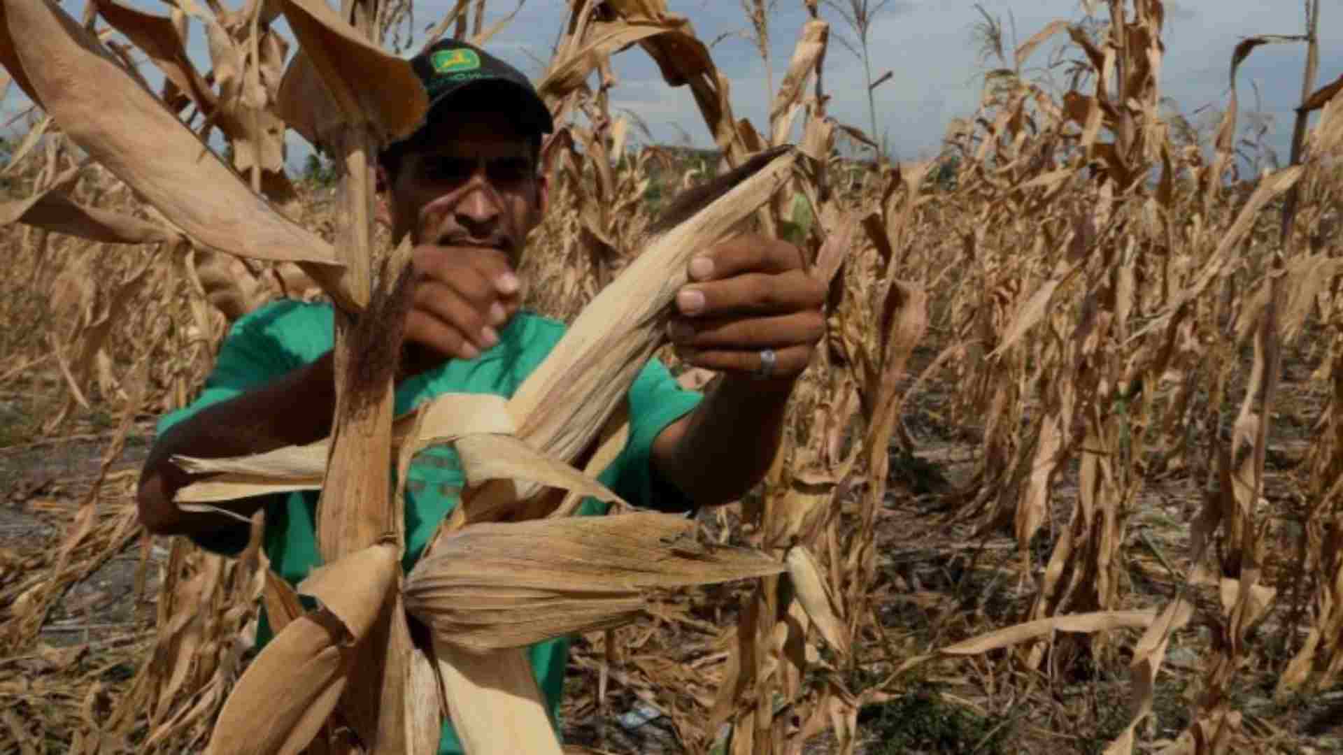 agroindustria