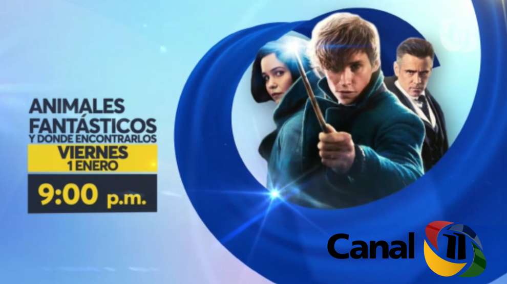 el mundo de la magia llega a canal 11 con animales el mundo de la magia llega a canal 11 con animales