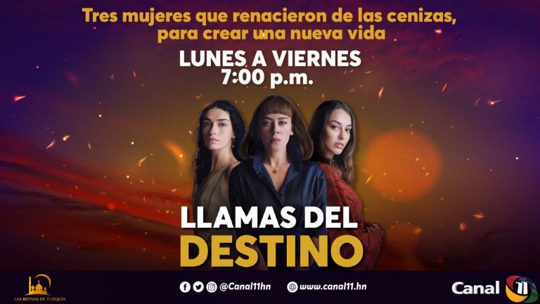 Conoce las ONCE curiosidades de Llamas Del Destino, la nueva novela ...