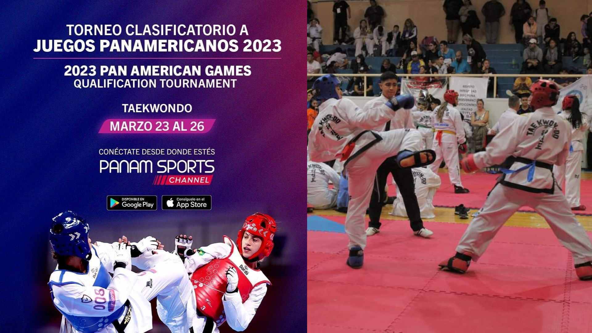 Taekwondo