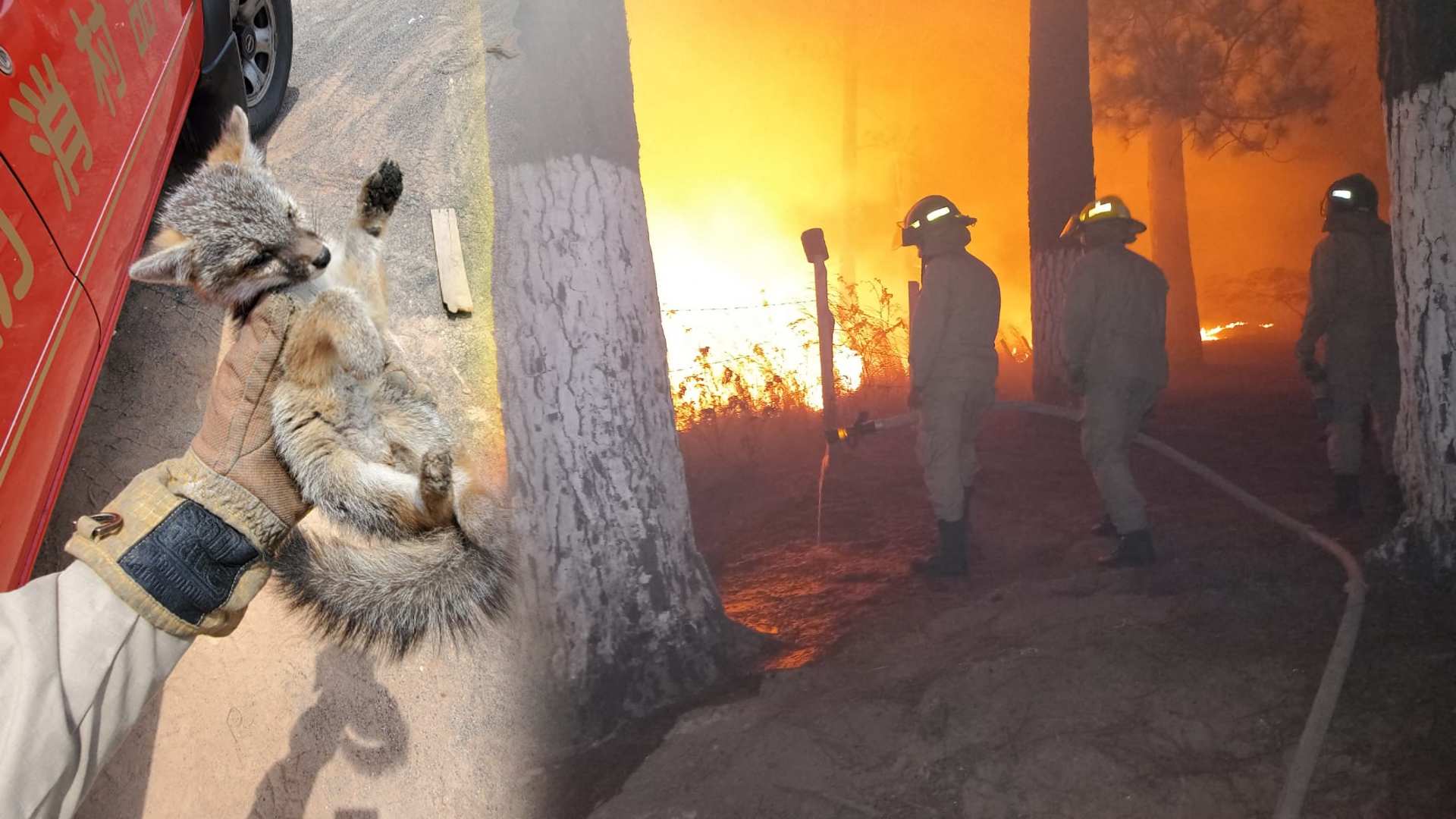 incendios