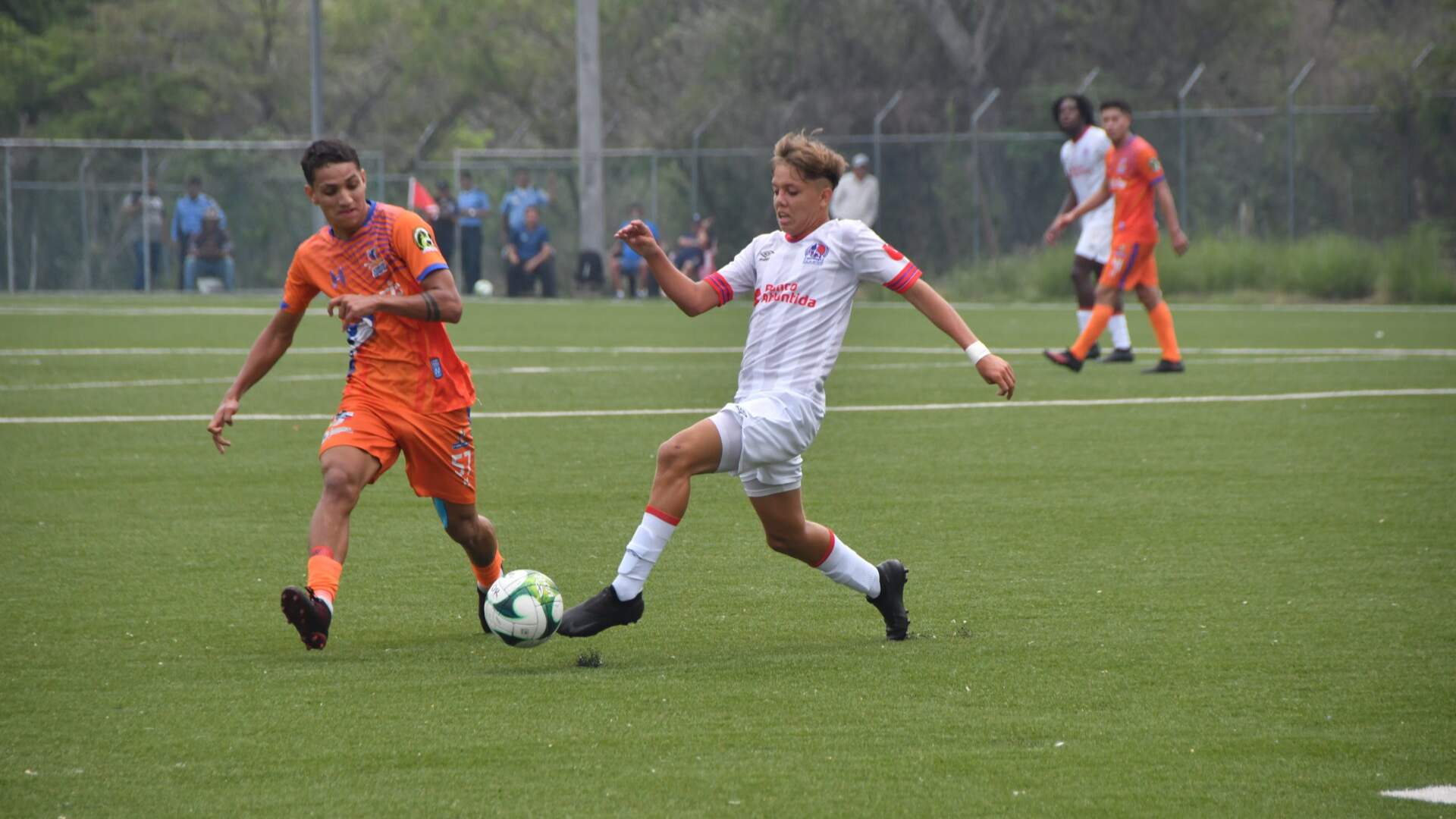 Lobos upn olimpia