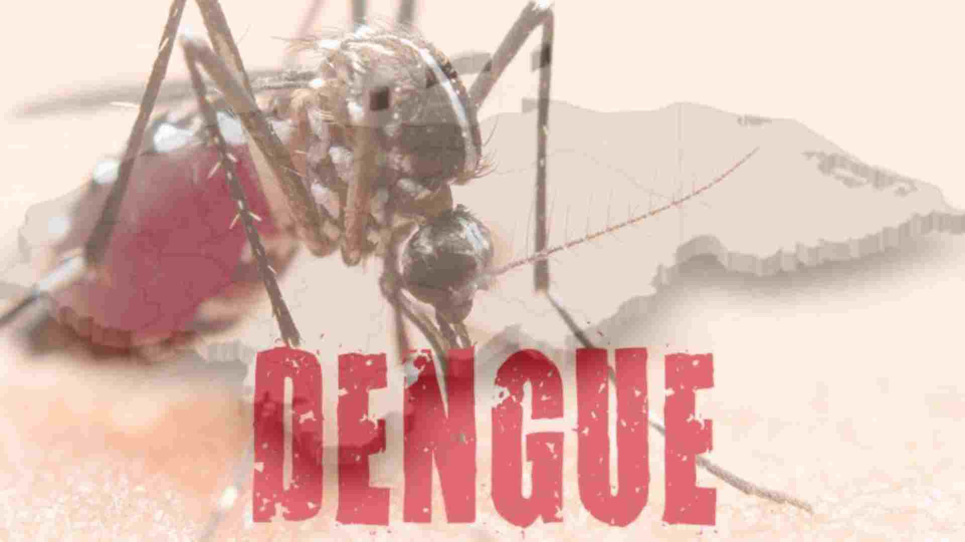 dengue