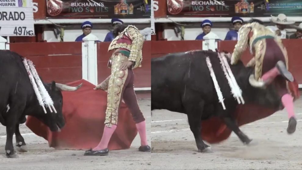 torero es cornado en aguascalientes