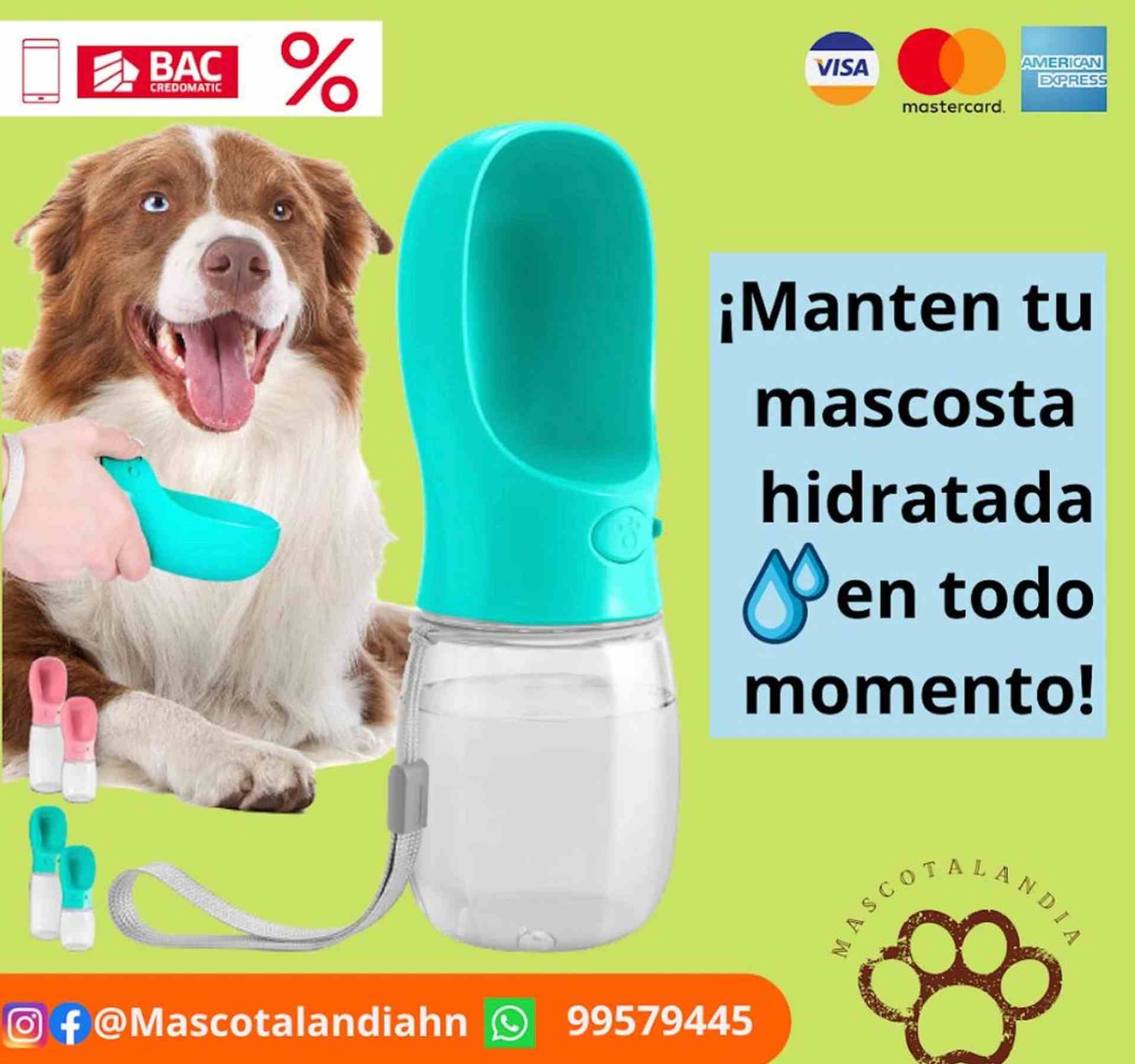 Mascotalandiahn 