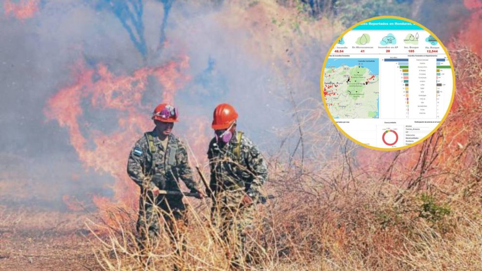 Las FFAA han atendido 44 incendios forestales en la última semana