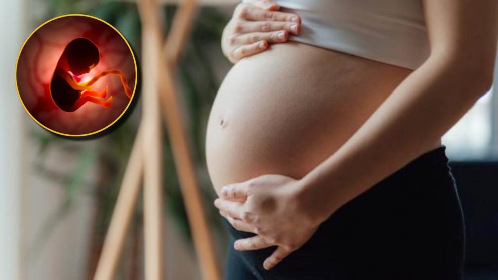 Doctora responde después que se hiciera viral una frase: “El feto no nutre a la mujer (...) Es un parásito”