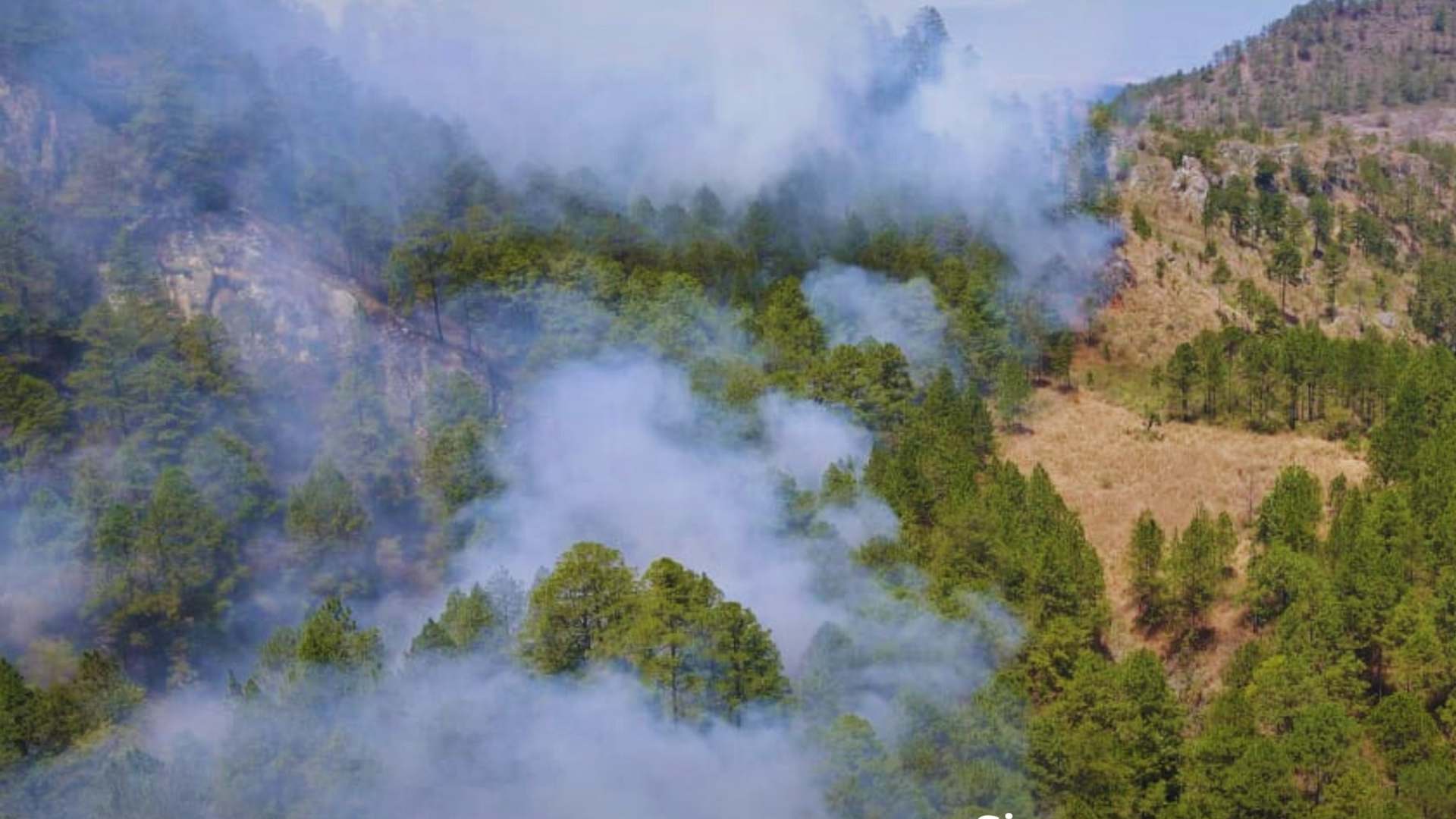 Establecen hipótesis de incendio a bosque en zona de La Tigra