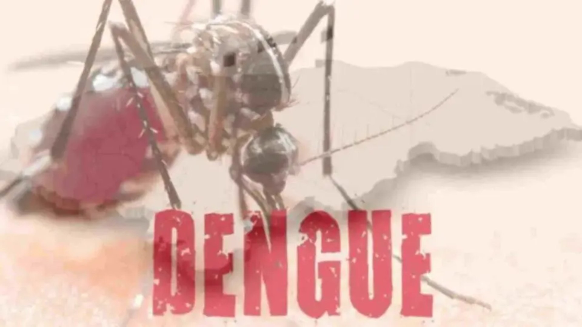 Dengue en Honduras aumenta en un 50%
