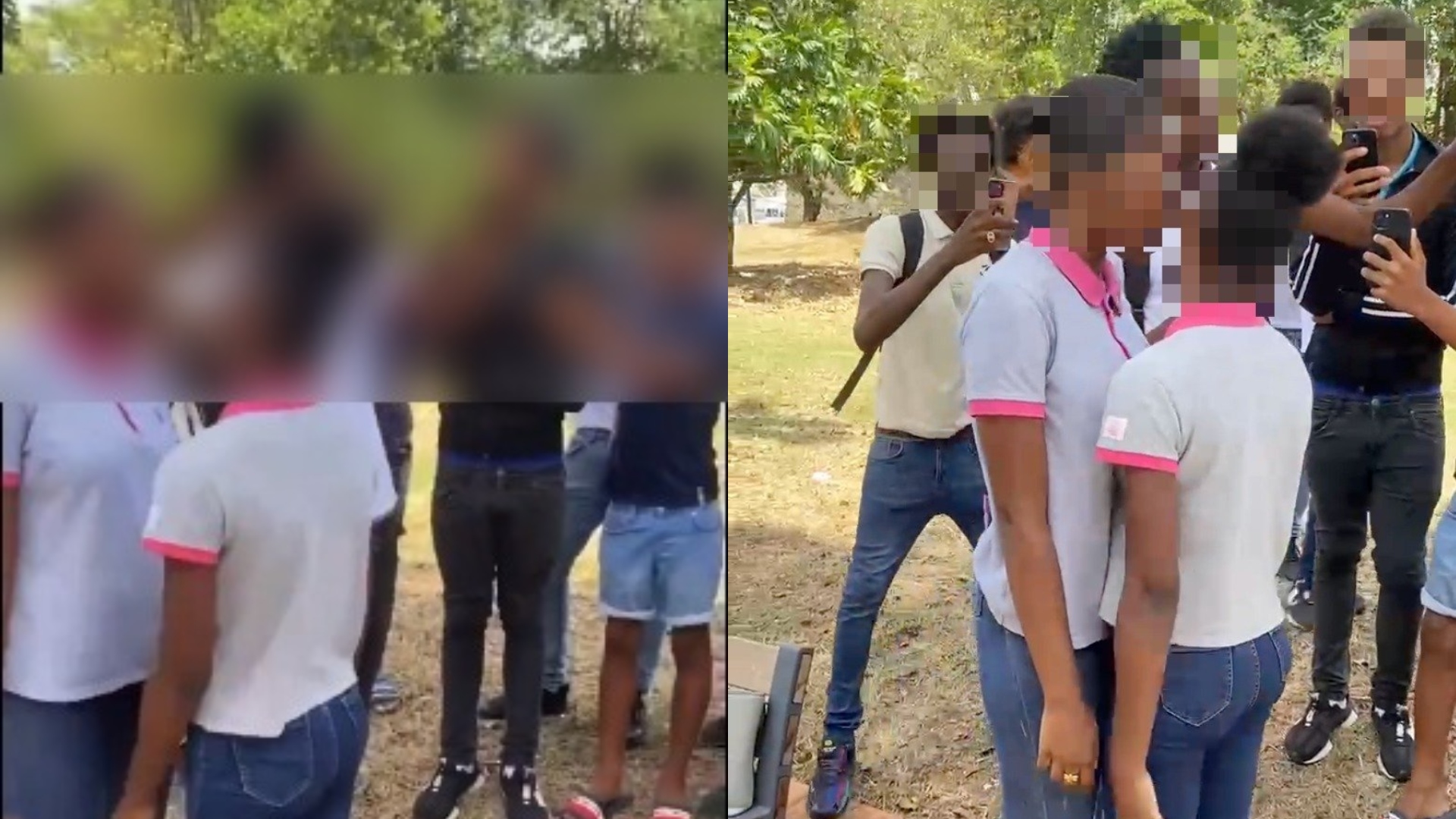 Pelea de adolescentes en Martinica ¿De qué trata y por qué se ha vuelto viral?
