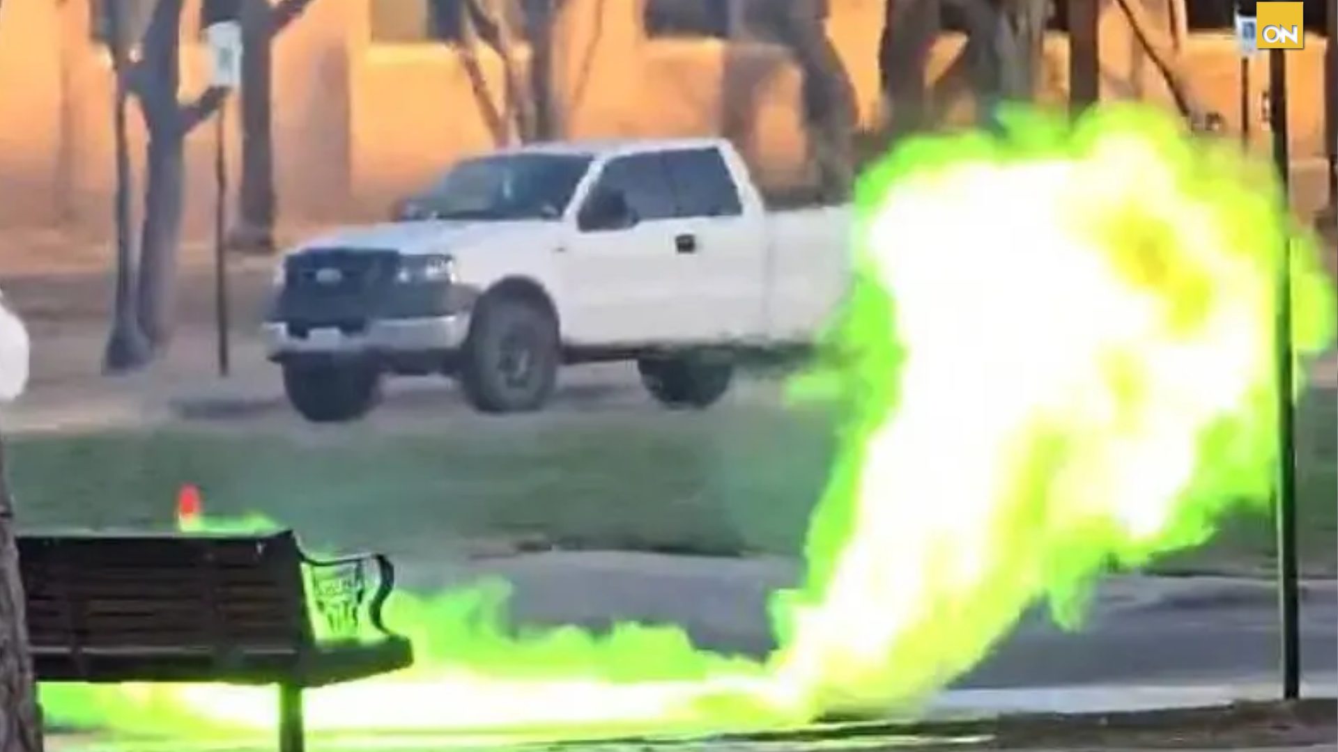 Video Texas llamas verdes